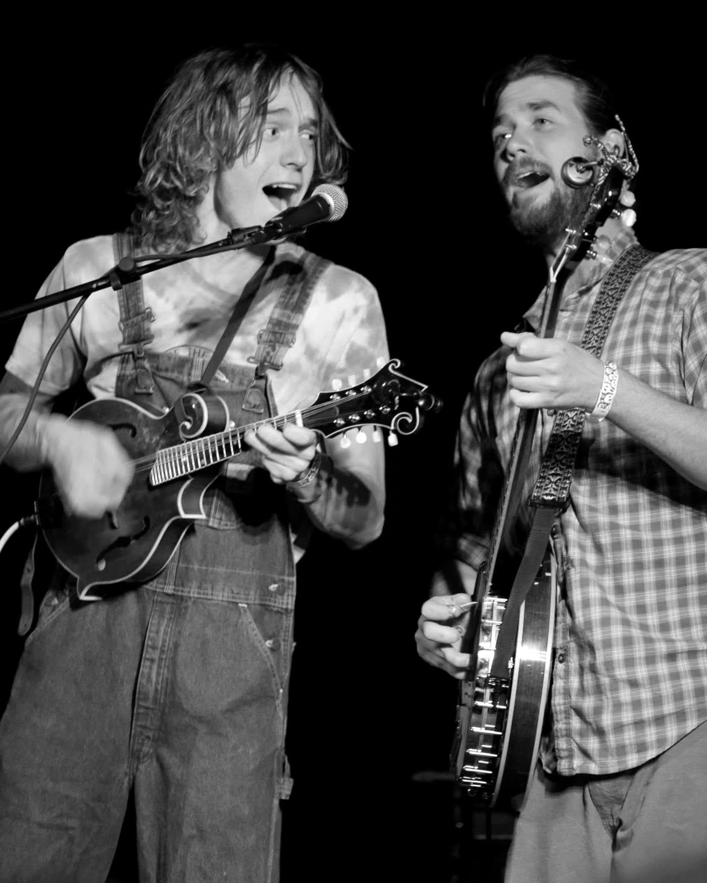 The Mandolinist